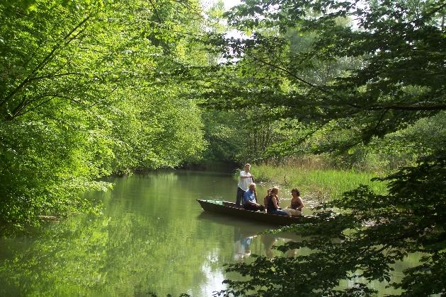 Bild 070.jpg - Eine geführte Kahnfahrt auf der verzweigten Flußlandschaft des Naturschutzgebietes Taubergießen